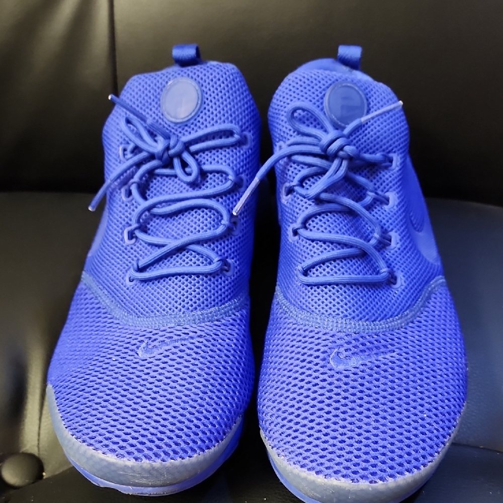 Nike Monochromatic Blue Air Presto